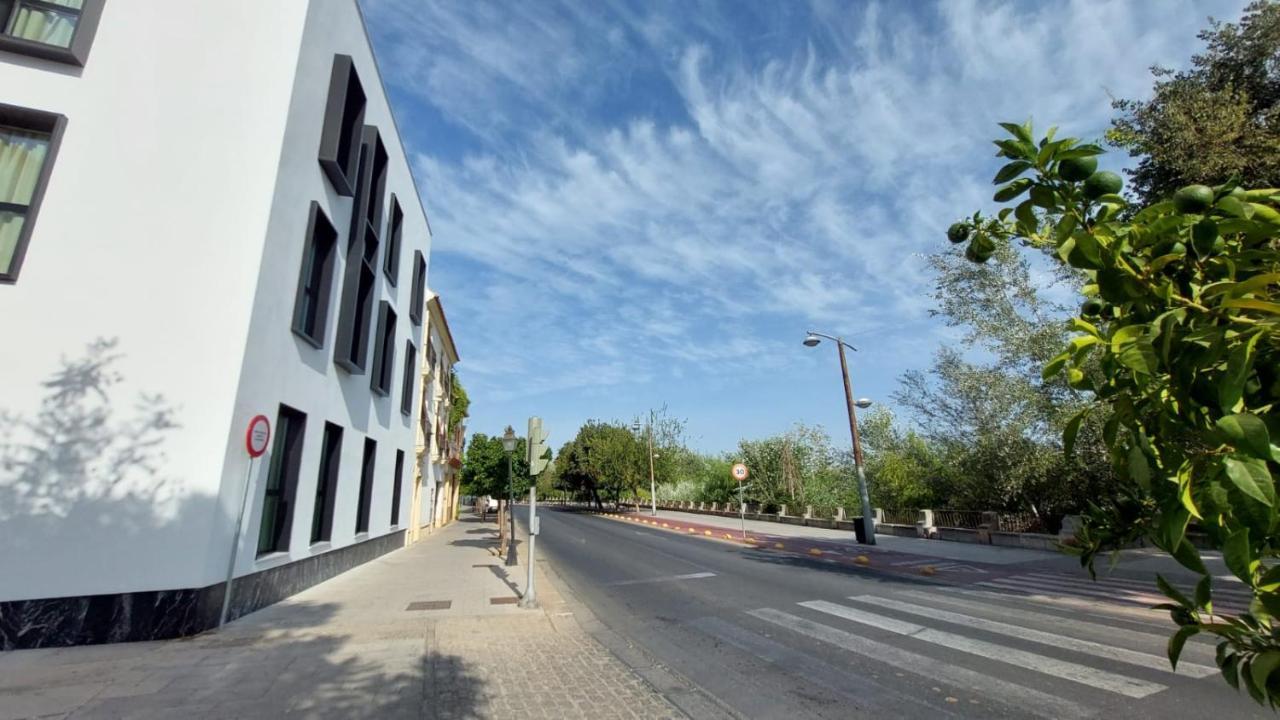 Apartamentos Ribera 19 コルドバ エクステリア 写真
